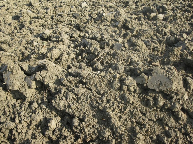 la nostra Madre Terra